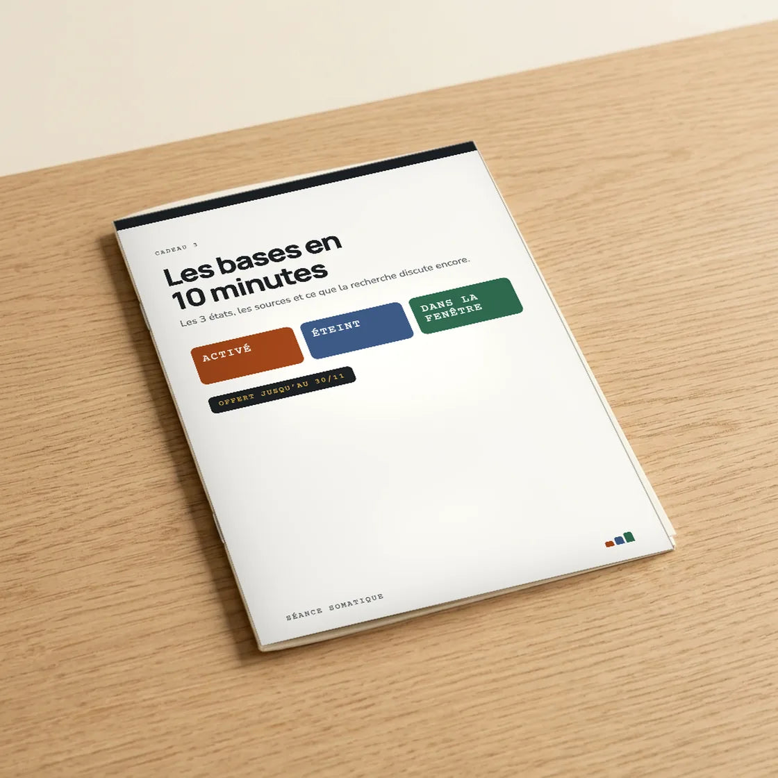 Cadeau 3 : Les bases en 10 minutes