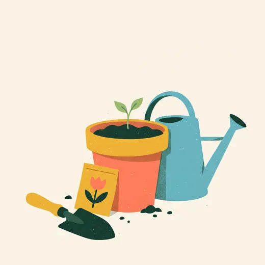 A pot, seedling and watering can